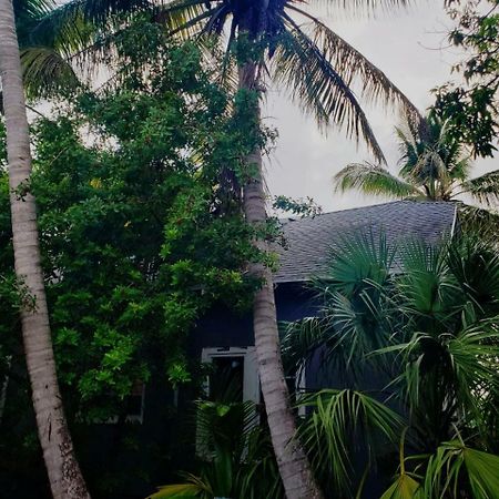 Old Cottage House Miami Esterno foto