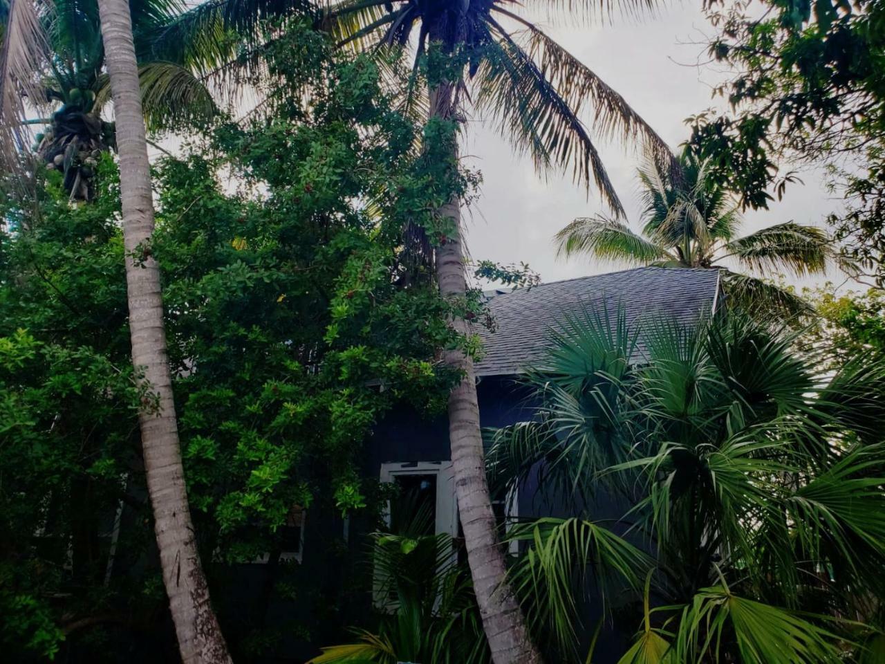 Old Cottage House Miami Esterno foto